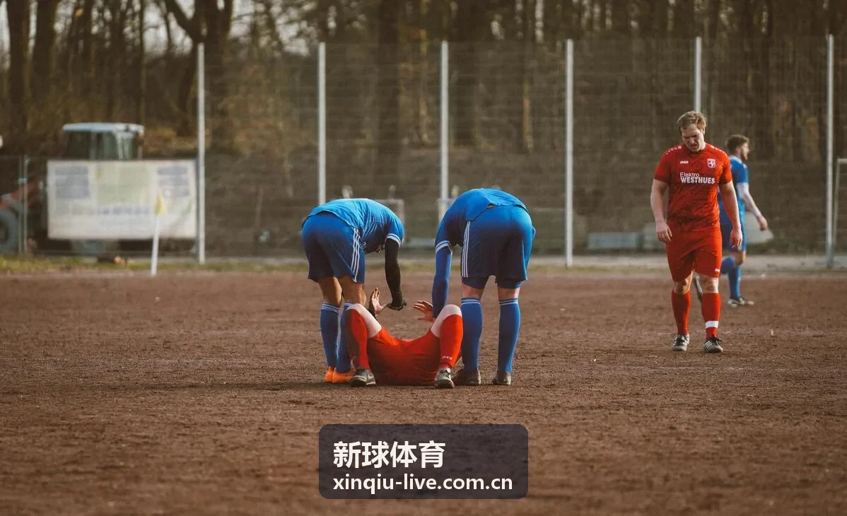 新球体育高清赛事直播